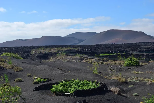 Vaste Vacuité Solitude Désert Volcanique Lave Gelée Noire Lanzarote Des — Photo