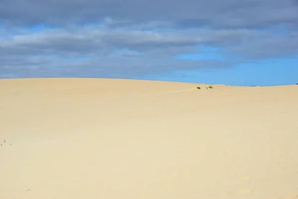 Vista Panorâmica Das Dunas Areia Praia Corralejo Fuerteventura Ilhas Canárias — Fotografia de Stock