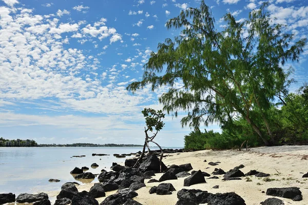 Tropisches Ufer Mit Schwarzen Vulkanfelsen Der Westküste Der Insel Mauritius — Stockfoto