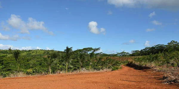 Countryside Landscape Dirt Road Agricultural Fields Mauritius Island Africa — Stock Photo, Image