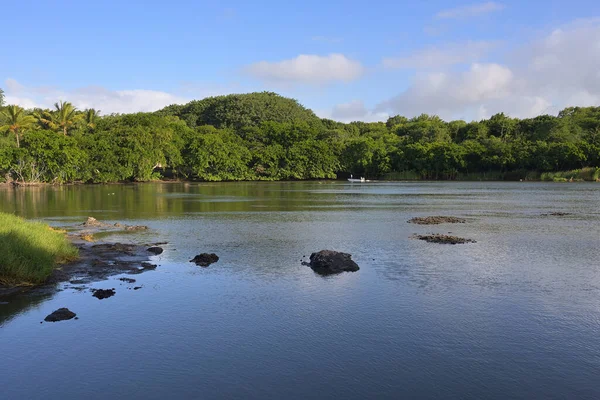 Krajobraz Rzeką Citron Wyspie Mauritius Afryka — Zdjęcie stockowe