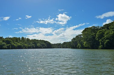 Mauritius Adası 'nın güzel sahil şeridi manzarası. Afrika 