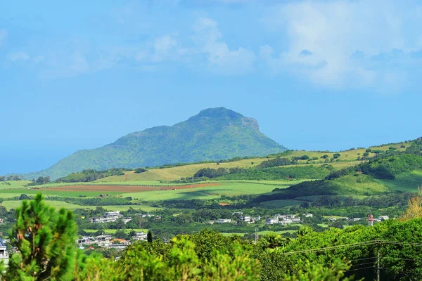 Landelijk Landschap Landbouw Velden Een Berg Achtergrond Mauritius Zie Formulier — Stockfoto