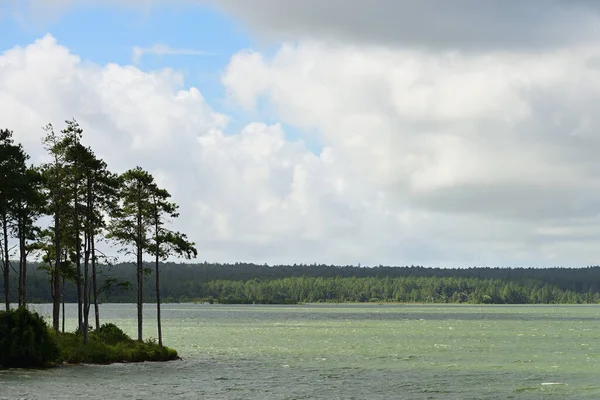 Paysage Réservoir Mare Longue Ile Maurice Afrique — Photo