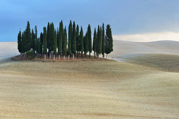 Idylliskt Toscana Landsbygdslandskap Nära Pienza Italien Europa Plowed Höst Fält — Stockfoto