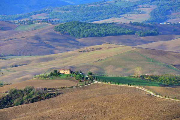 Paesaggio Idilliaco Rurale Toscano Con Campo Arato Autunno Italia Europa — Foto Stock