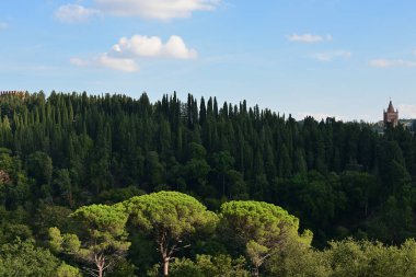 Siena yakınlarındaki Idyllic Toskana manzarası ve arka planda Monte Oliveto Maggiore Ortaçağ Manastırı, Toskana, İtalya