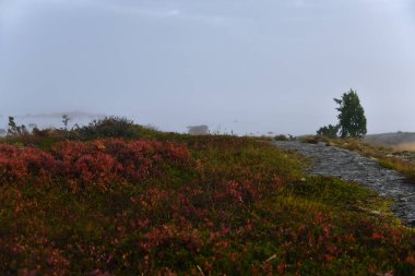 Güneş doğarken Beyaz Deniz 'in güzel manzarası. Onega Körfezi, Karelia, Rusya. Seçici odak