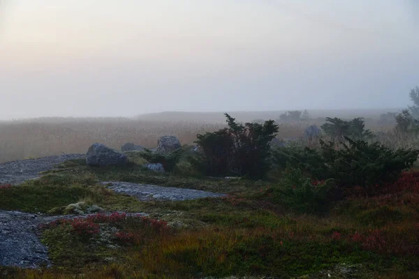 Beautiful landscape of the shore of the White Sea at sunrise. Onega Gulf, Karelia, Russia.