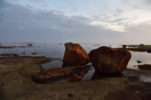 Beautiful Landscape Shore White Sea Sunrise Onega Gulf Karelia Russia — Stock Photo, Image