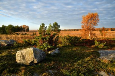Gündoğumunda Beyaz Deniz 'in güzel sonbahar manzarası. Onega Körfezi, Karelia, Rusya. 