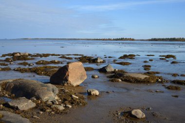 Beyaz Deniz kıyısının güzel manzarası. Onega Körfezi, Karelia, Rusya. Dalgalar alçaldığında küçük bölge