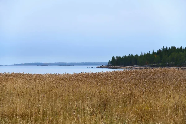 Krásná Podzimní Krajina Pobřeží Bílého Moře Oněgský Záliv Karelia Rusko — Stock fotografie