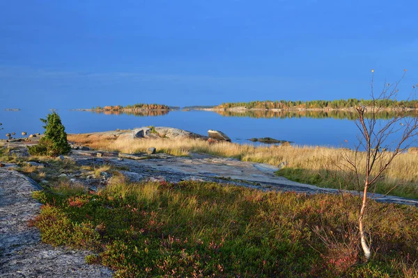 Vackert Höstlandskap Vid Vita Havets Strand Vid Solnedgången Onega Viken — Stockfoto