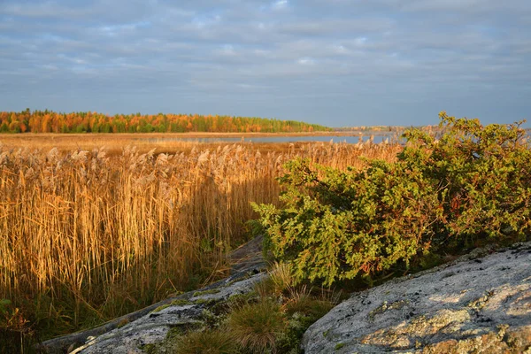 Bela Paisagem Costa Mar Branco Nascer Sol Onega Gulf Karelia — Fotografia de Stock