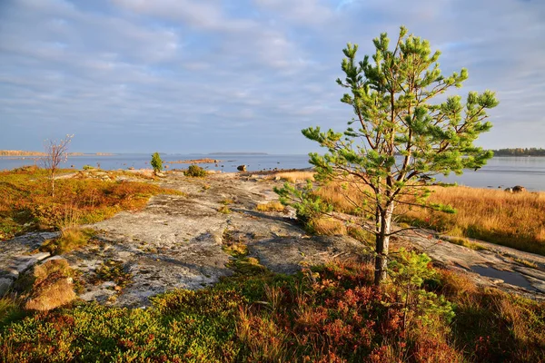 Hermoso Paisaje Orilla Del Mar Blanco Amanecer Golfo Onega Karelia —  Fotos de Stock