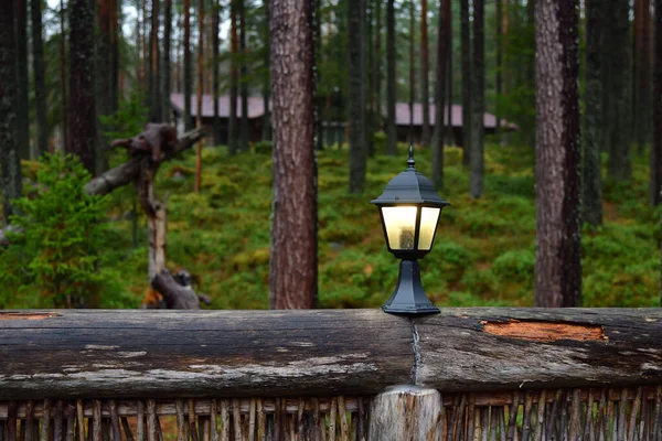 Осветил Наружную Лампу Деревянном Заборе Против Красивого Осеннего Соснового Леса — стоковое фото