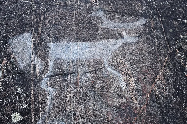Bílé Moře Petroglyfy Starověké Skalní Malby Zalavruga Tisíc Let Belomorsk — Stock fotografie