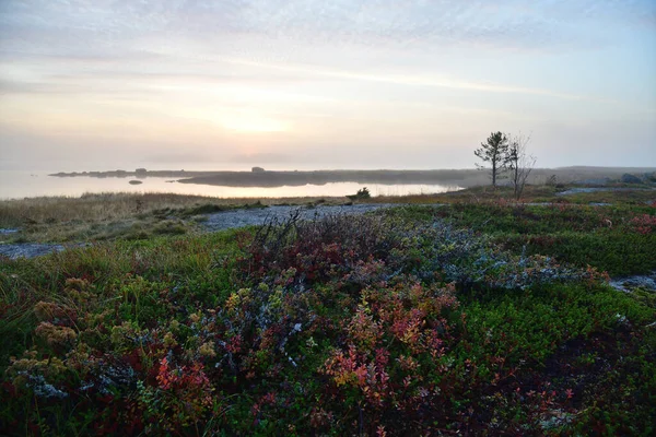 Hermoso Paisaje Orilla Del Mar Blanco Amanecer Golfo Onega Karelia —  Fotos de Stock