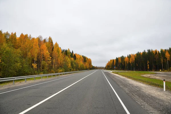Karelia Rusia Carretera Kola Través Del Bosque Otoño Camino Kola — Foto de Stock