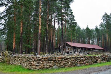 Karelia, Medvezhyegorsk, Rusya 'da Onega Gölü kıyısında çam ormanları ve ahşap kulübe ile güzel sonbahar manzarası