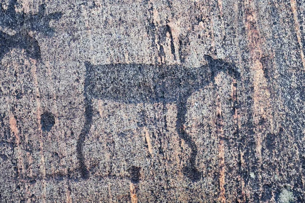 Petroglify Morza Białego Starożytne Obrazy Skalne Zalavrudze Tysiąca Lat Pne — Zdjęcie stockowe