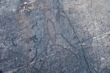 Zalavruga 'daki Beyaz Deniz Petroglifleri (antik kaya resimleri), M.Ö. 4,5 bin yıl. Belomorsk, Karelia, Rusya 