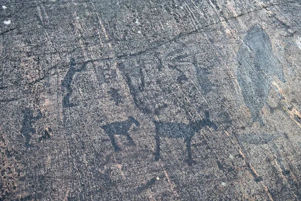 Petroglifos Del Mar Blanco Pinturas Rupestres Antiguas Zalavruga Mil Años —  Fotos de Stock