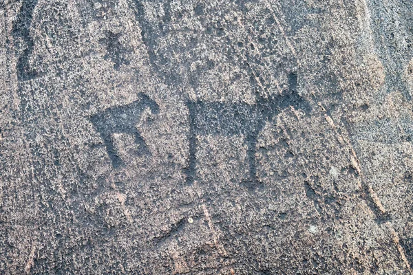 Petroglifi Del Mar Bianco Antichi Dipinti Rupestri Zalavruga Mila Anni — Foto Stock