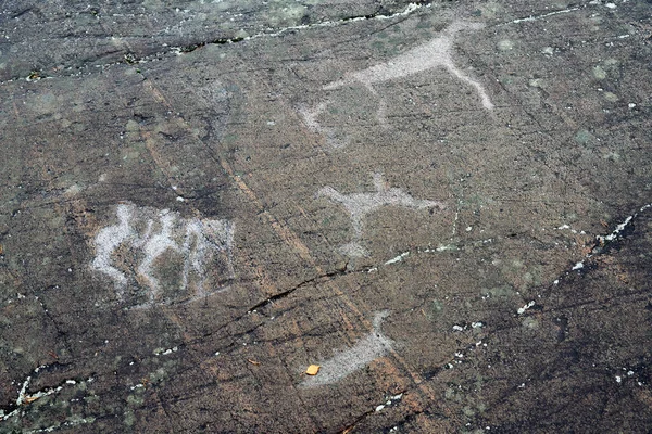 Bílé Moře Petroglyfy Starověké Skalní Malby Zalavruga Tisíc Let Belomorsk — Stock fotografie