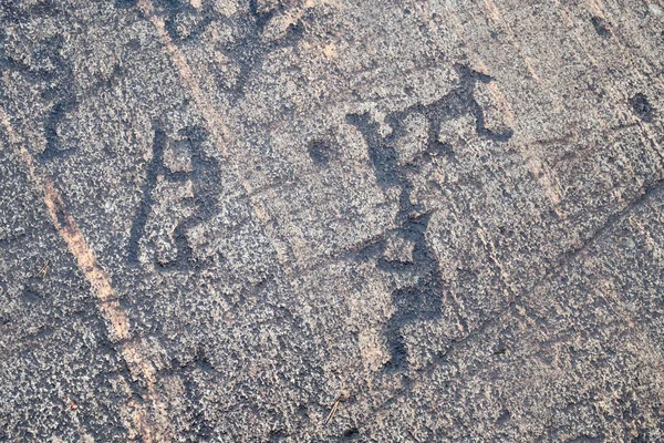 Bílé Moře Petroglyfy Starověké Skalní Malby Zalavruga Tisíc Let Belomorsk — Stock fotografie