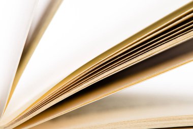 Eğitim ve bilgelik kavramı - Kitap sayfalarının Macro görünümü