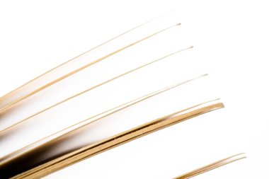 Eğitim ve bilgelik kavramı - Kitap sayfalarının Macro görünümü