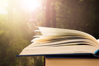 Bulanık manzara arkaplanı üzerinde kitabı aç