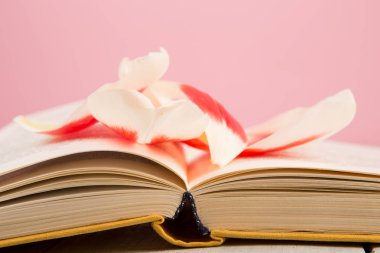 Eğitim ve okuma konsepti - çiçek yapraklı açık kitap, pembe arkaplan