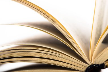 Eğitim ve bilgelik kavramı - Kitap sayfalarının Macro görünümü