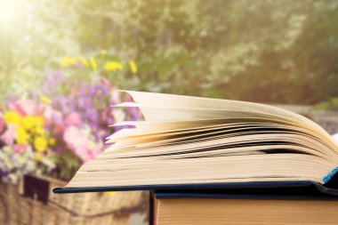 Bulanık manzara arkaplanı üzerinde kitabı aç