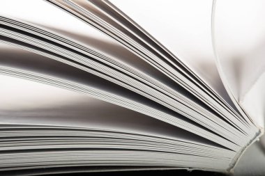 Eğitim ve bilgelik kavramı - Kitap sayfalarının Macro görünümü