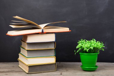 Eğitim konsepti - oditoryumdaki masanın üzerinde kitaplar