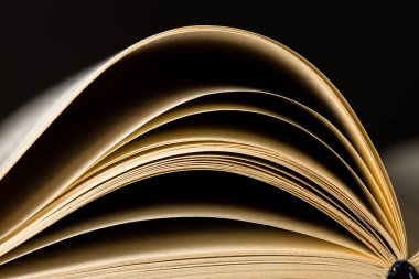 Eğitim ve bilgelik kavramı - Kitap sayfalarının Macro görünümü