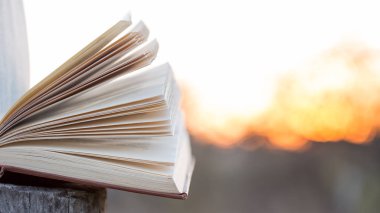 Eğitim ve bilgelik kavramı - açık havada gün ışığı altında kitap