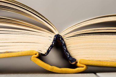 Eğitim ve bilgelik kavramı - Kitap sayfalarının Macro görünümü
