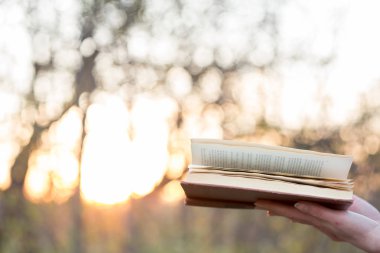 Eğitim ve bilgelik kavramı - açık havada gün ışığı altında kitap