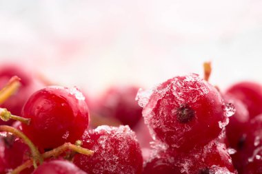 donmuş böğürtlen üzümü, makro