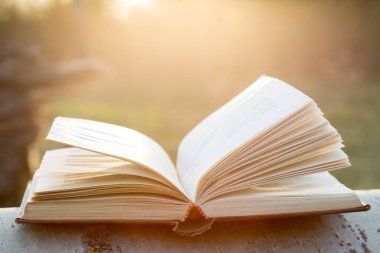 Eğitim ve bilgelik kavramı - açık havada gün ışığı altında kitap