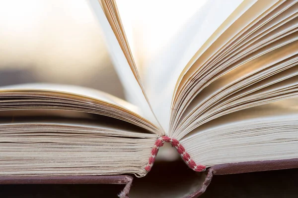 Conceito Educação Sabedoria Livro Aberto Sob Luz Solar Livre — Fotografia de Stock