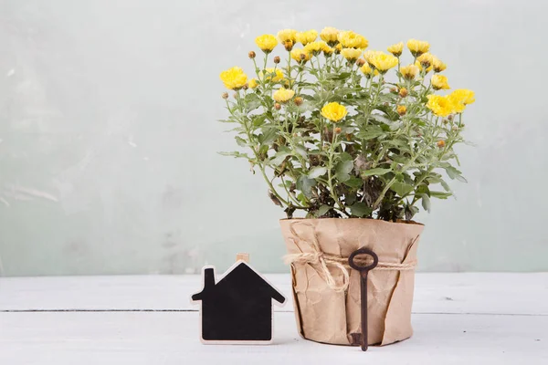 Evim Güzel Evim Mesaj Kart Ile Tencerede Güzel Çiçekler — Stok fotoğraf