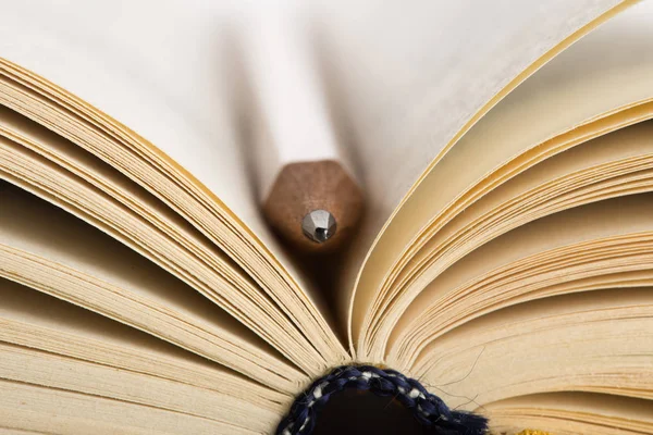 Utbildning Och Visdom Koncept Makro Syn Bok Med Penna — Stockfoto