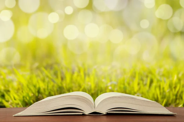 Manzara arka plan üzerine açık kitap