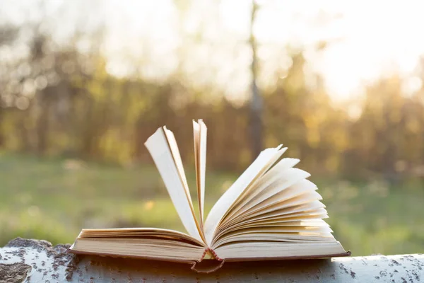 Education Wisdom Concept Open Book Sunlight Outdoors — Stock Photo, Image